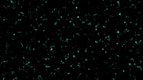 Close-up of glowing particles floating in dark space scene 스톡 동영상 342022782