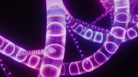Close up of glowing purple dna double helix rotating against dark background Stock Footage 339794638