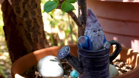 Up-close Gnome Sitting in a Plant Stockbeeldmateriaal 310596841