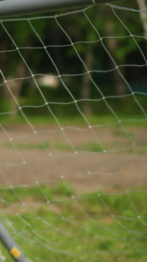 Close-Up of Goal Post as a Ball is Shot into the Net in a Grassy Field Stock Footage 309818968