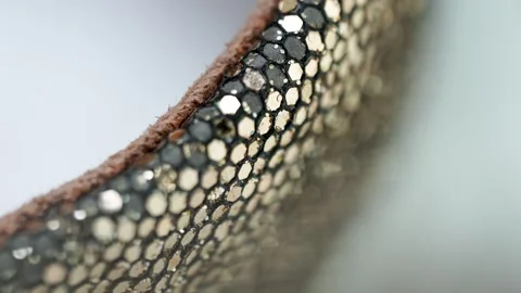 A close up of a gold and silver bracelet with a brown band Stock Footage 328044881