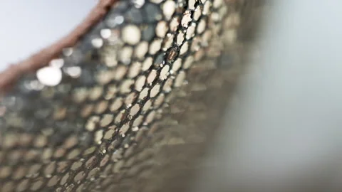A close up of a gold and silver bracelet with a brown band Stock Footage 328045002