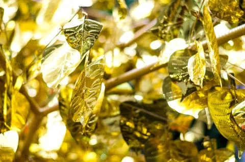 Close up gold leaf texture background Stock Photos