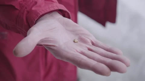 Close Up  Gold In Old Hand Stock Footage 154064382