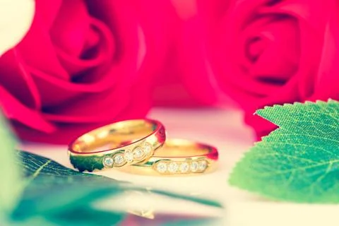 Close up Gold ring and Red roses Stock Photos
