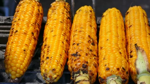 Close up of golden vegetables corncobs baked on a metal grill or barbecue an Stock Footage 283374260
