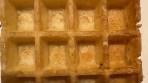Close-up of a golden waffle Stock Footage 293028276