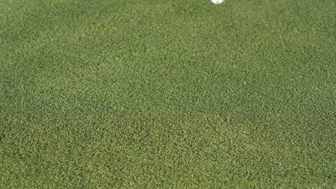 Close up of a golf ball dropping on a course green Stock Footage 141658489