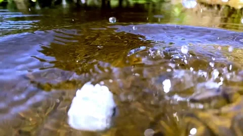 Close Up on a Golf Ball Falling in the Water Pond in a Sunny Day Stock Footage 264476309