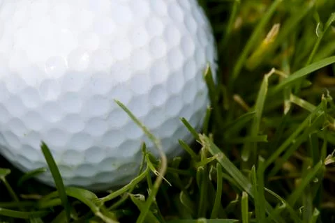 Close-up of golf ball in grass Stock Photos