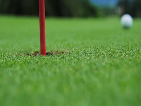 A close up of a golf ball rolling into a hole. Stock Footage 69774268