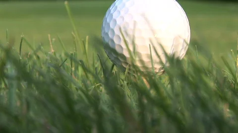 Close up of golf ball on tee in green grass Vidéo 63282