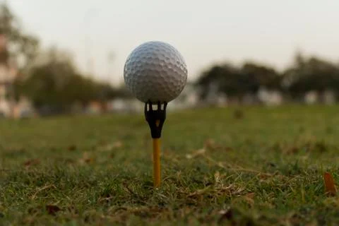 Close up Golf ball on tee Foto stock