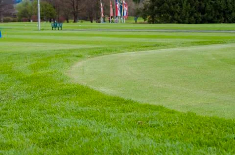Close up of Golf green Stock Photos