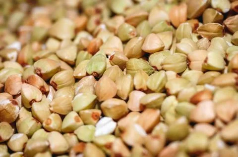 Close up on a grain of buckwheat Stock Photos