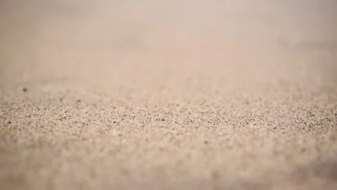 Close up grain of sand at the sea shore moving by the wind. Nature concept. Stock Footage 201341901