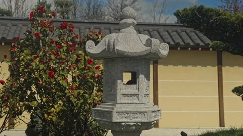 Close Up Granite Lantern And Camellia Video stock 335950784