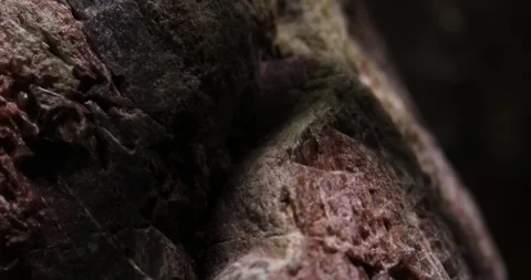 Close-up of Granite Rock with Detailed Rough Texture Stock Footage 289723402