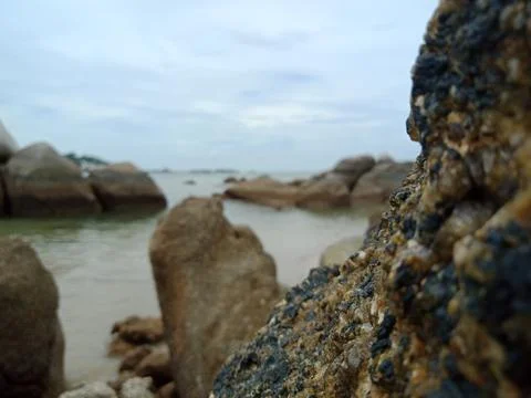 Close up of granite stone on the beach. Stock Photos