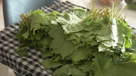 Close-up grape leaves,vine leaves for stuffing, Stock Footage 246633084