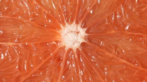 Close up of Grapefruit Stock Footage 91212937