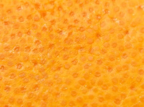 Close up of grapefruit or orange texture. Foto stock