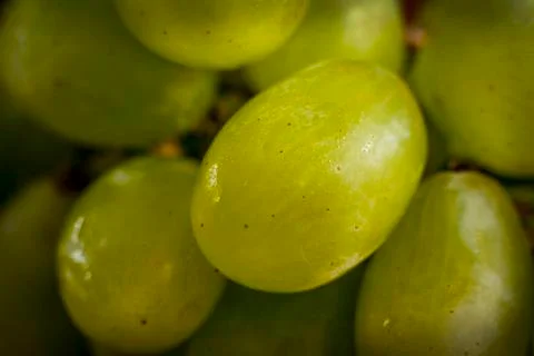 Close-up of grapes Stock Photos