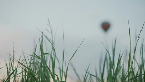 Close up grass with blurred balloon drifting in pastel sky over open field Video stock 317188153