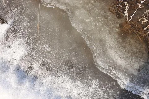 A close-up of grass breaks through the ice. Stock Photos