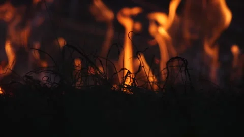Close-Up of Grass Fire with Bokeh Sparks Stock Footage 308487633
