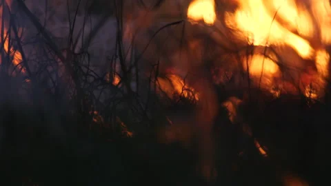 Close-Up of Grass Fire with Bokeh Sparks Stock Footage 308488104