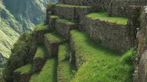 Close up of grass growing on teraces at machu picchu Stock Footage 64740668