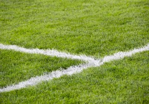 Close-up grass at soccer field with corner line Stock Photos