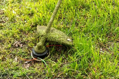 Close-up of a grass trimmer during mowing. Landscaping concept Foto stock