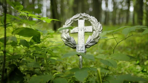 Close Up Grave Marker in Woods Vidéo 157878827