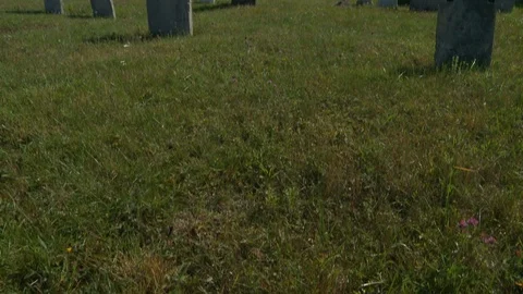 Close up of graveyard with grave stones on grass field, Newfoundland, Canada Stock Footage 132397036