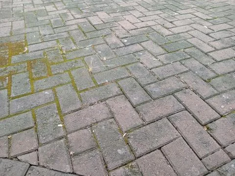 Close up of gray brick pavement in herringbone pattern with moss in joints,.. Foto stock
