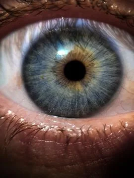 Close-up of a gray human eye. Stock Photos