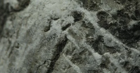Close-Up of Gray Stone Texture Stock Footage 290768239