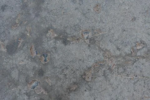 Close-up - gray stone wall in the old facade of the house Stock Photos