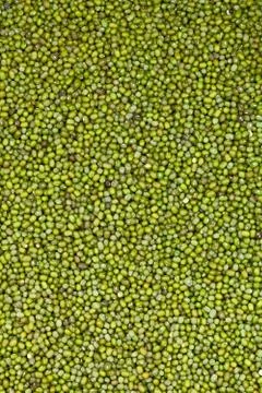 Close up green bean Stock Photos