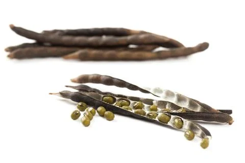 Close up green beans on the pod on white background 写真素材