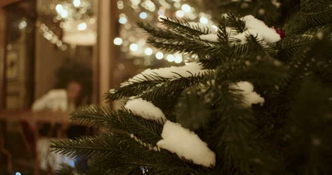 Close-up green branches of a Christmas tree covered with snow Stock Footage 261382104