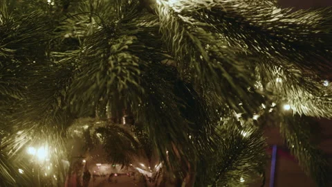 Close up of green branches of a Christmas tree Stock Footage 261394487