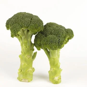 Close-up of green broccoli cabbage. Stock Photos