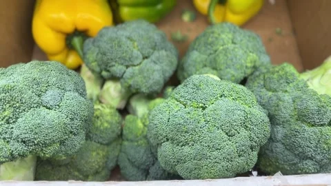 Close-up of green broccoli on shelf Stock Footage 314098095