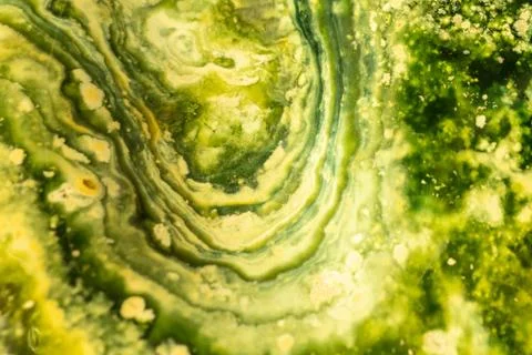 Close up green chalcedony Gemstone texture. Stock Photos