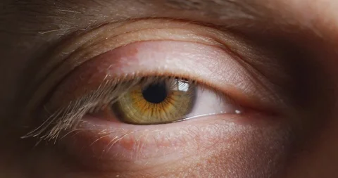 Close up of a green eye Stock Footage 99744960