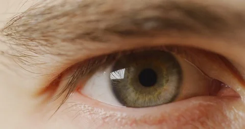 Close up of a green eye Stock Footage 99745025