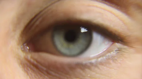 Close Up of green eye with no makeup staring at camera Stock Footage 38763552